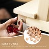 200-Piece Hardwood Mushroom Caps - 5/16 Inch Wooden Button Plugs