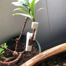 ZYEKIU Pack of 30 Plant Benders, Low Stress Training Clips, 360° Adjustable Plant Clips, Plant Growth Bender for Bending Plant Stems and Changing the Growth Direction (White)