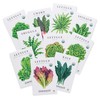 Sereniseed Certified Organic Leafy Greens Lettuce Seeds Collection (10-Pack) –