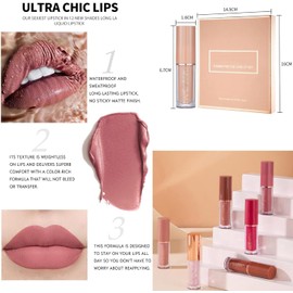 Set de 12 Lápices Labiales Líquidos Mate Aterciopelados Larga Duración, Alta Pigmentación, Taza antiadherente resistente al agua, Aplicación suave y aterciopelada, Nutre e hidrata