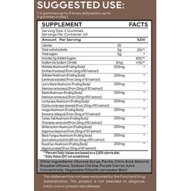 Eilin YHT 10 Mushrooms Gummies 2500mg Serving - Boosts Cognitive Vitality Immune Support Supplements Reishi, Cordyceps, Turkey Tail, Maitake, Shitake, Chaga