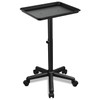 Black Salon Tray, Salon Trays on Wheels, Height Adjustable Dentist