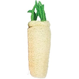 AE Cage Company Nibbles Daikon Loofah Chew Toy Large - (5 Units)