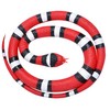 Wild Republic Scarlet Snake, Rubber Snake Toy, Gifts for Kids,