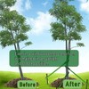 HanyHere 1 Roll 65.6 Feet Tree Tie for Plant Support