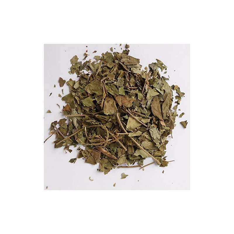 Gymnema Tea 3.5 oz (100 g)