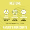 Hunter & Gather: Restore Electrolytes