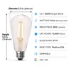 Feit Electric ST19 Vintage Edison LED Light Bulb, 100W Equivalent,