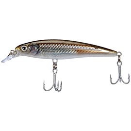 Rapala X-Rap Saltwater 12 Mangrove Minnow