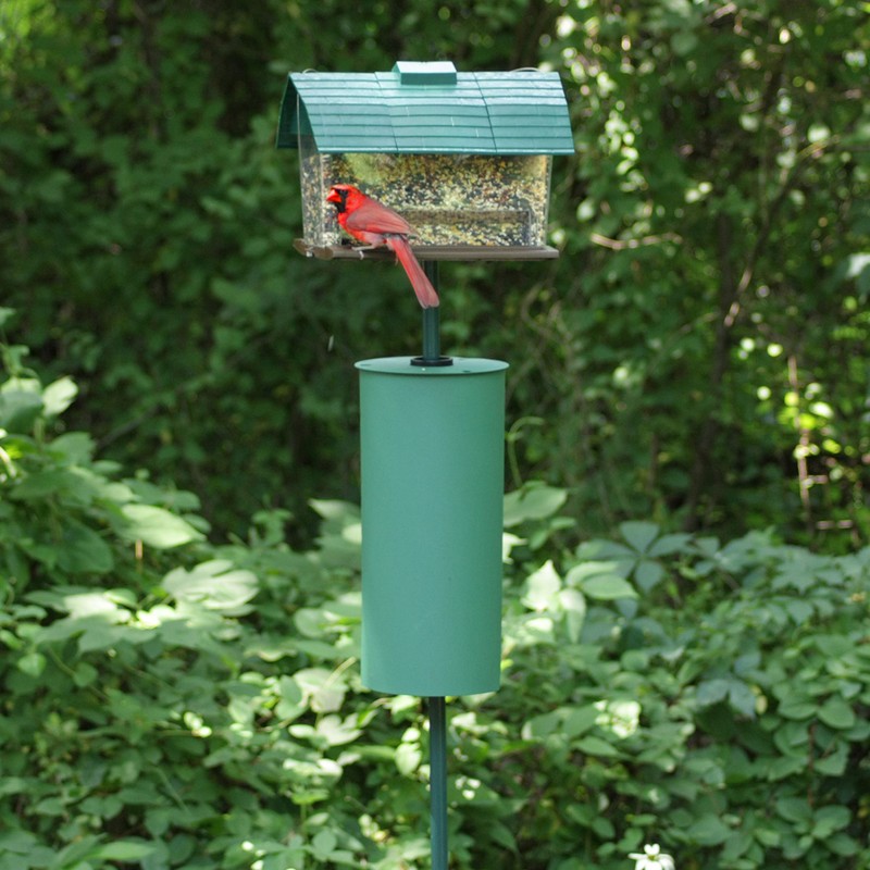 Perky-Pet 341 Metal Pole Squirrel Baffler, Green, 7.1"L x 7.07"W