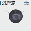 JUMBO 3 inch/4 inch ABS Mushroom Vent Cap