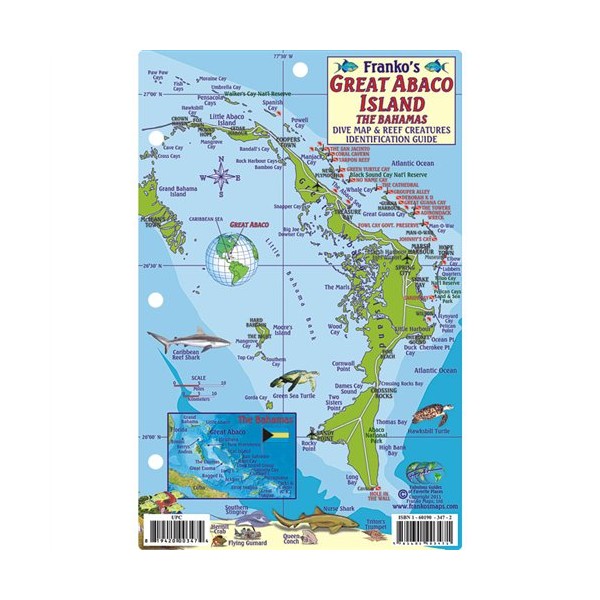 Great Abaco the Bahamas Mini-map & Reef Creatures Identification Guide - Fish ID
