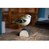 Goldcrest 70 x 50 x 75