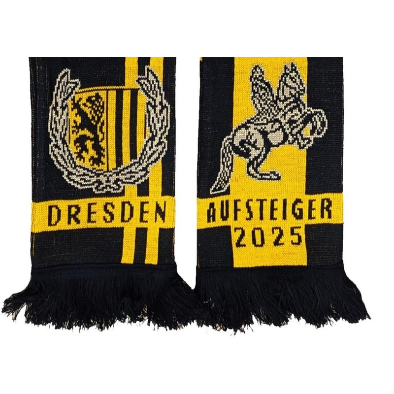 Generisch Dresden Schal Aufsteiger 2025 (Strickschal)