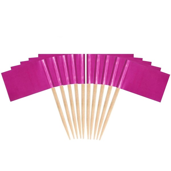JAVD CYPS 100 Pcs Color Toothpick Flag (Pink) Pink Toothpick