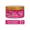 Exfoliante Corporal Bodycology Cherry Blossom 297 Grs