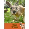 Kangaroo Birthday Card