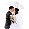 10 Pack Clear Wedding Umbrellas Auto Open Windproof Clear Umbrella