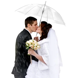 10 Pack Clear Wedding Umbrellas Auto Open Windproof Clear Umbrella Transparent Stick Umbrella with J Hook Handle Large Clear Bubble Umbrella Bulk for Outdoor Bride Groom Ceremony Adults Kids Rain