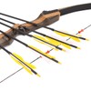 LWANO 31" Carbon Hunting Arrows Archery Target Practice Arrows with