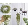 Ahvoler Fake Spanish Moss, Faux Spanish Moss Garland for Potted