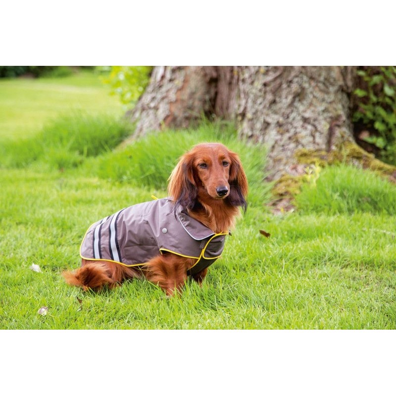 BZ Dog Rain Coat Seja Grey 48 cm