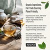 Numi Organic Gunpowder Green Tea - 18 Green Tea Bags