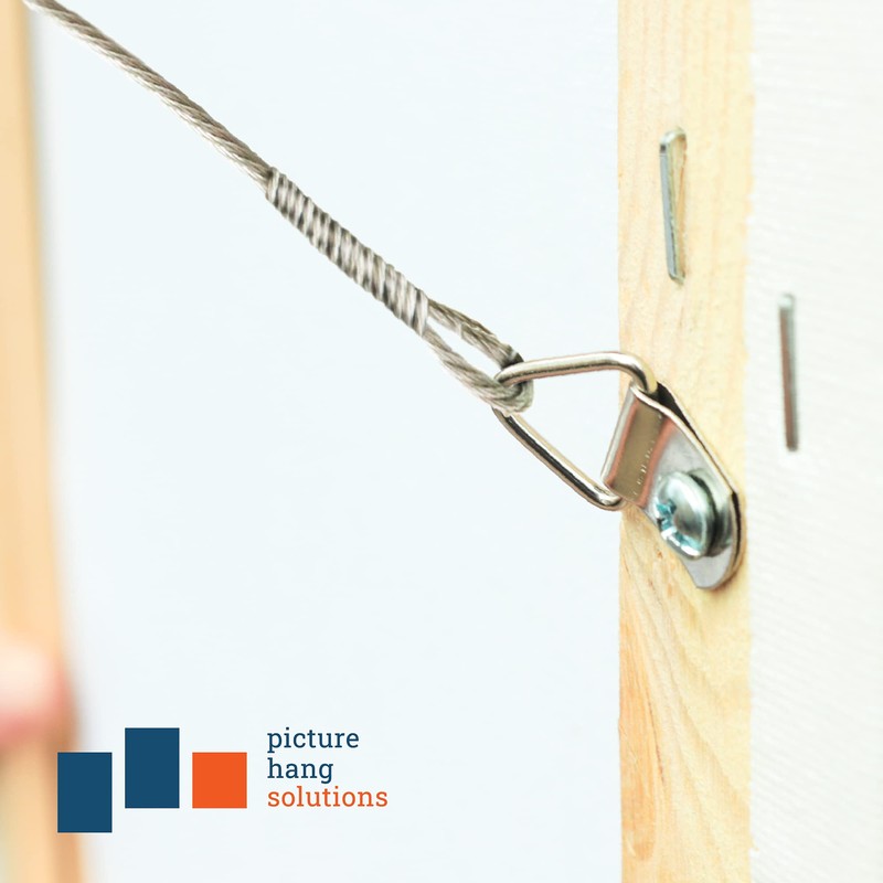 PHS D-Ring Picture Hangers with Screws 100 Pack - Small