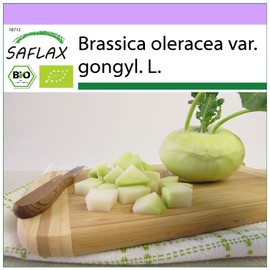 SAFLAX - Organic - Kohlrabi - Super Melting - 20 Seeds - Brassica oleracea