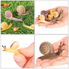 COHEALI Sneaking Animals 5 Pieces Life Cycle of Snail Animal Figures Life Cycle Figures Model Snail Figure Figurines Educational Project Diorama Model for Snails