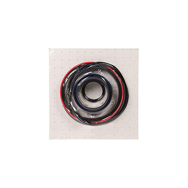 Chief TC3 Seal KIT for 2.5" BORE 1.125" Rod