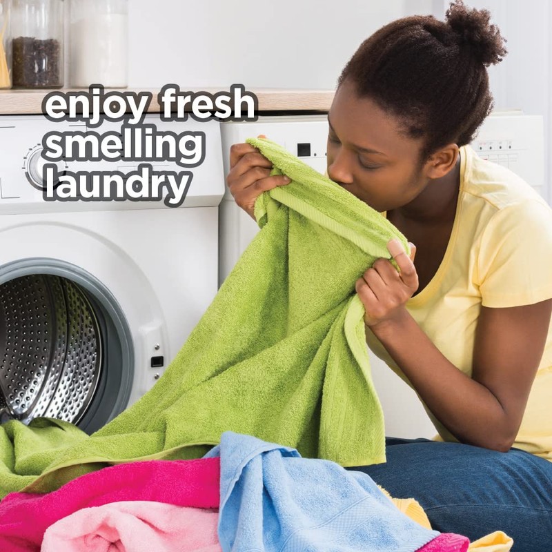 HOME VICTORY Dryer Sheets: Outdoor Scented Laundry Fabric Softener Sheets
