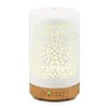 Earnest Living Essential Oil Diffuser White Ceramic Diffuser 100 ml