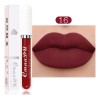 Set 10 Labiales Líquidos Mate Cmaadu Larga Duración 01