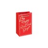 Eurowrap Happy Valentine’s Day Gift Bag Small – Red Foil