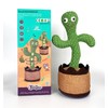 SHAVINGFUN Talking Cactus toy,Singing Cactus,Voice Recorder Baby Toys,Talking and Singing