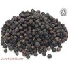 Organic Juniper Berry Pure Herbal Infusion (25 Unbleached Tea Bags