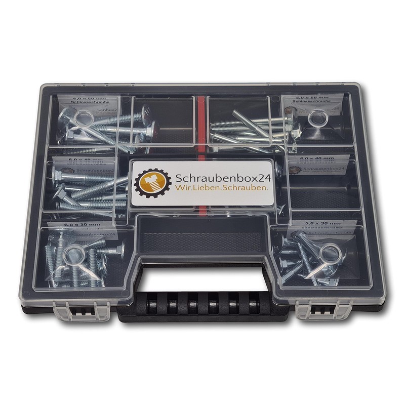 60-Piece Round-Head Screw Carriage Screws - S Box // Screw