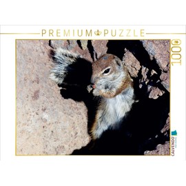 CALVENDO Puzzle Nibbling 1000 Pieces Puzzle Landscape 1000 Pieces Laying Size 64 x 48 cm Photo Puzzle for Happy Hours