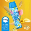 Fluffy Laundry In-Wash Scent Booster Beads, 500g, Cloud Nine, Long