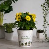 Gruss & CO Flower Pot Motif Special Stoneware, 10 cm,