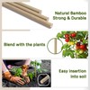 Plant Stakes,12 Inches Natural Garden Bamboo Sticks,BOVITRO 20Pcs Plant Support
