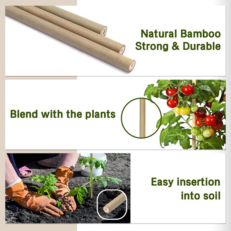 Plant Stakes,12 Inches Natural Garden Bamboo Sticks,BOVITRO 20Pcs Plant Support