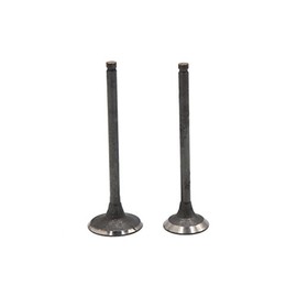 sourcing map 2Pcs Metal Motorcycle Motorbike Engine Motor Exhaust Intake Valve for CG-125