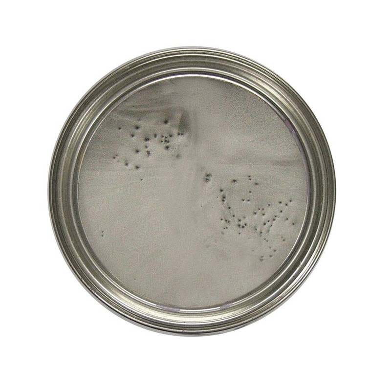 SILVER Brake Caliper Paint Kit More than enough to paint