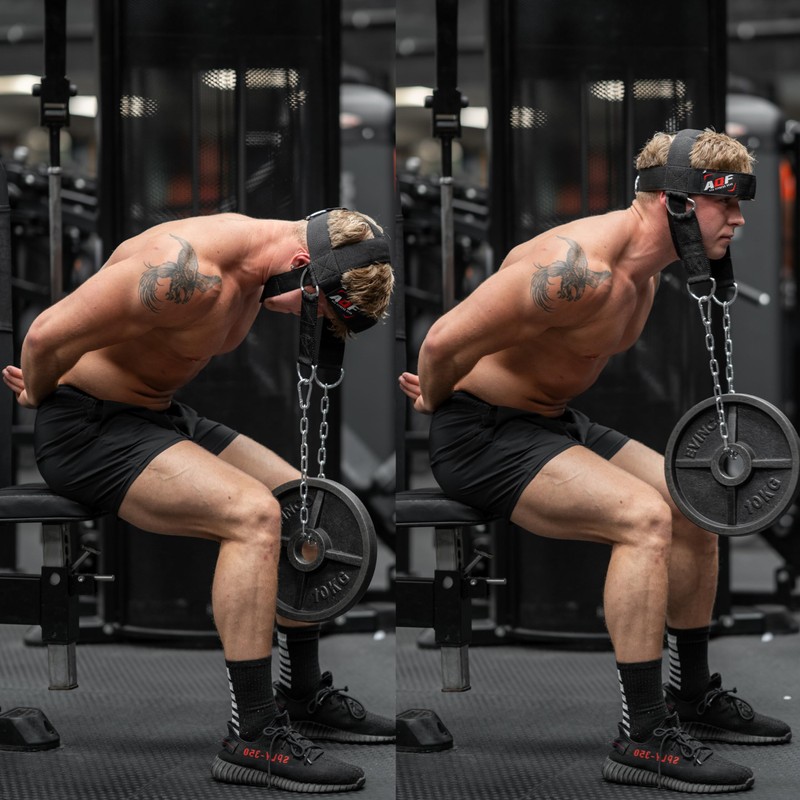 AQF Adjustable Head Harness Diving Neck Builder with D-Hook Attachment