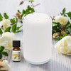 Zen'Arôme Nomadic Movisia V2 Essential Oil Atomiser - Diffusion Area