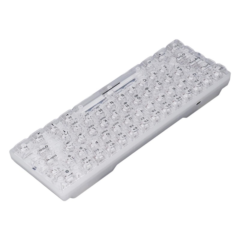 61 Keys Transparent Mechanical Keyboard Clear Keycap Wired Gaming Keyboard