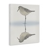 Stupell Industries Tranquil Sandpiper Bird Reflection Shallow Beach Shoreline Canvas