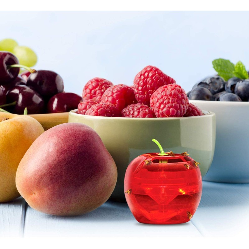 Raid Fruit Fly Trap Bundle, Set of 3 2-Pack Apple